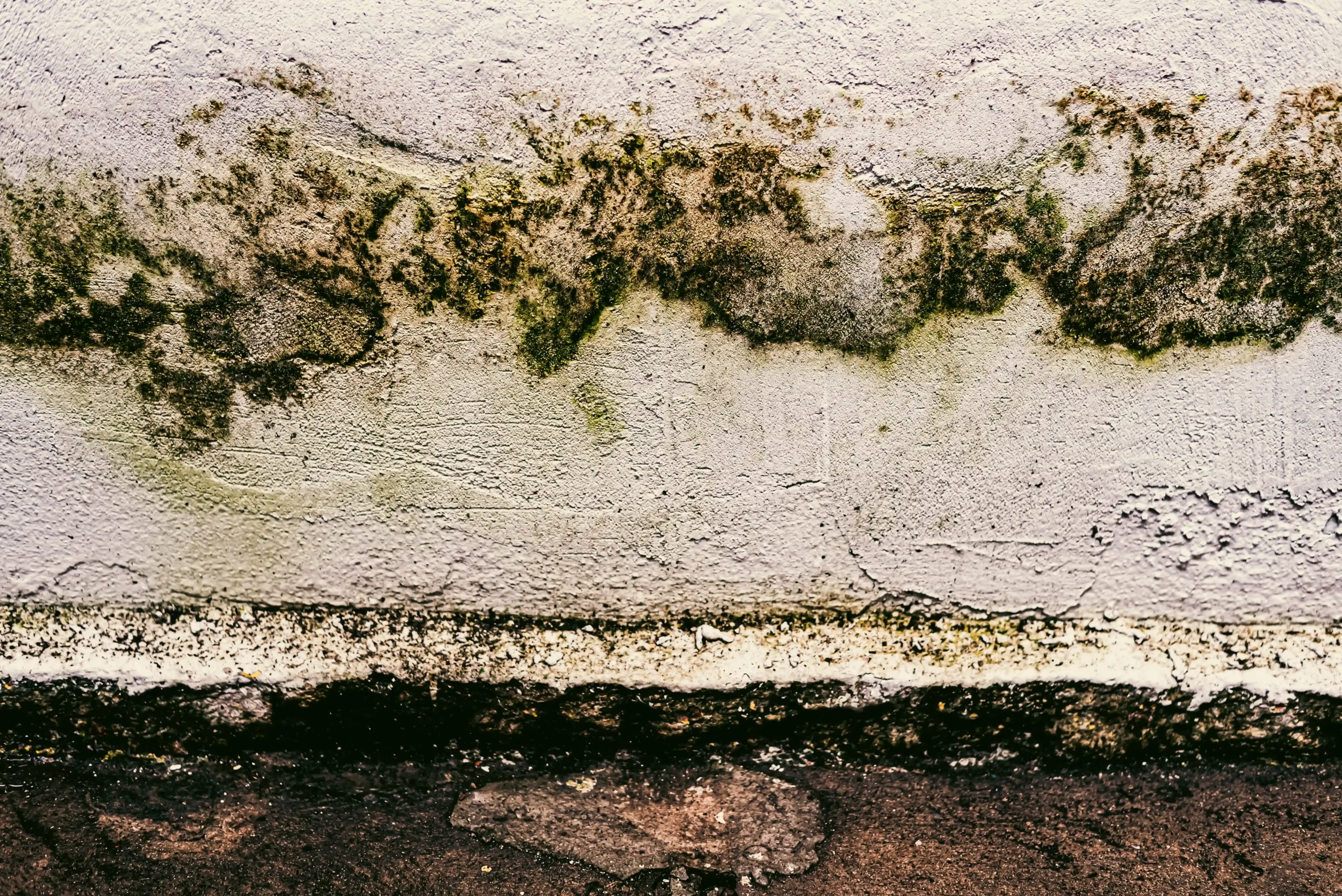 Housing Ombudsman highlights over 100 damp and mould cases